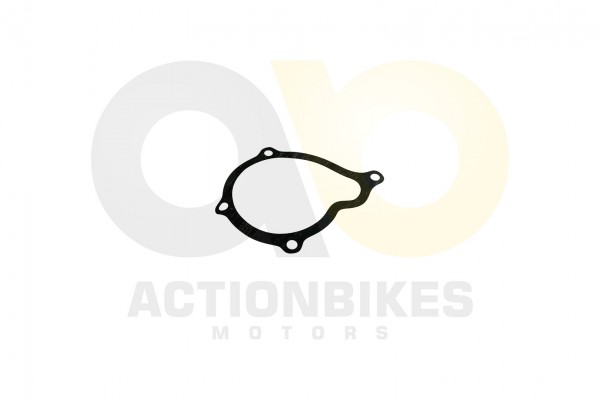 Actionbikes XYPower-XY500ATV-Dichtung-Wasserpumpengehuse 31373434312D35303230 01 WZ 1620x1080