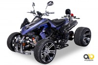 Actionbikes Speedslide Carbonblau 33313237383134 360-14 BGWL 1620x1080 - Farbe: Blau/Carbon