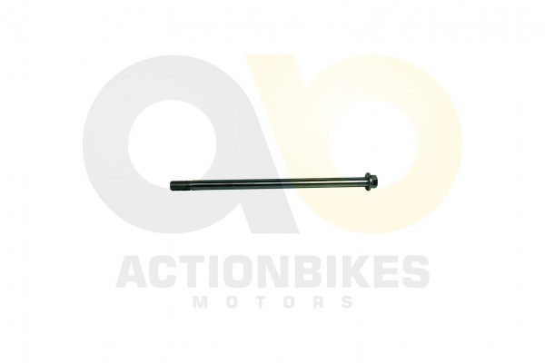 Actionbikes Shineray-XY250SRM-Schwingarmschraube 36313231342D3531362D30303030 01 WZ 1620x1080