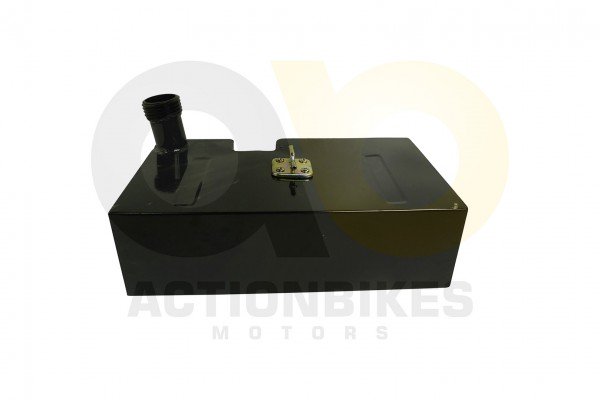 Actionbikes_UTV_Odes_150cc_Tank_4F2D3130302D31_01_