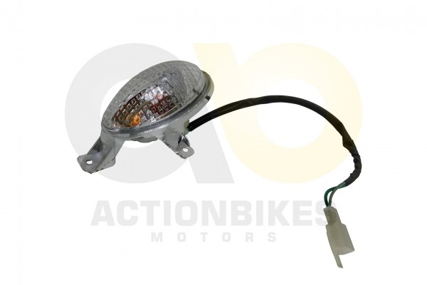 Actionbikes_Znen_ZN50QT_Legend_Blinker_hinten_rech