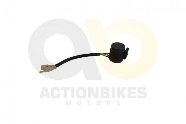 Actionbikes_Shineray_XY200ST_9_Blinkerrelay_XY200S