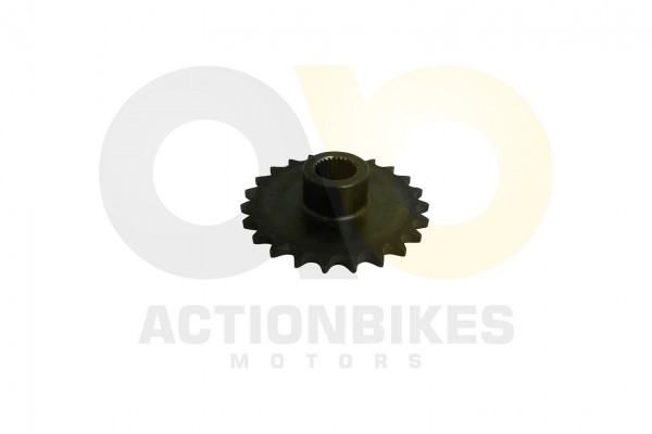 Actionbikes_Shineray_XY250ST_9C_Ritzel_vorne_23_Zh
