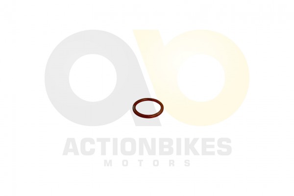 Actionbikes Lingying-250-203E-Dichtung-Krmmer 39343232322D3332392D303030303030 01 WZ 1620x1080