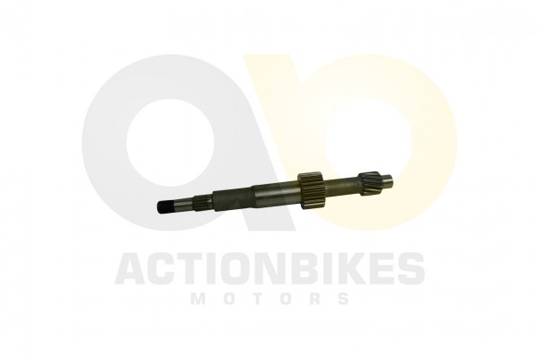 Actionbikes_Motor_260cc_XY170MM_Getriebe_Eingangsw