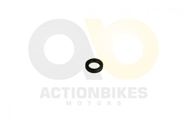 Actionbikes_Kugellager_17265_6803Z_CN_313030312D31