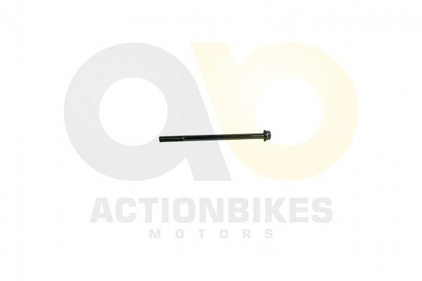 Actionbikes_Shineray_XY200ST_9_Schraube_M6x100_475