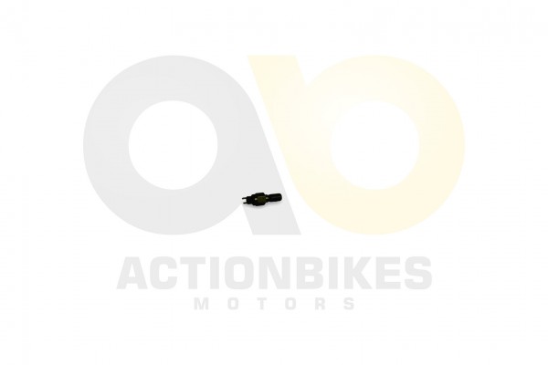 Actionbikes XYPower-XY500ATV-Bremslichtschalter-im-Hauptbremszylinder 35393634312D35303130 01 WZ 162