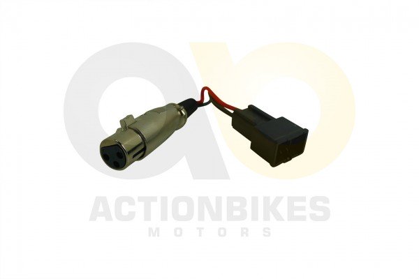 Actionbikes_T_Max_eFlux_Externer_Ladestecker_fr_Ba
