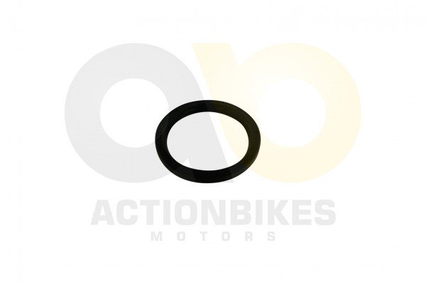 Actionbikes_Simmerring_60858_Kangchao_313030302D36