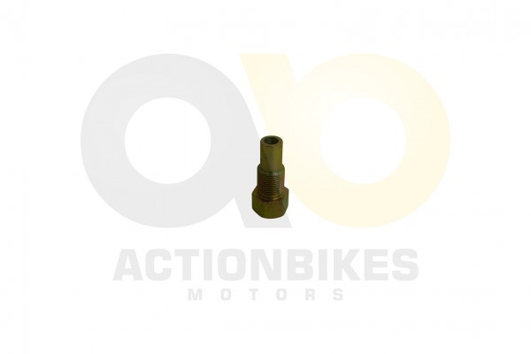 Actionbikes_Hunter_250_JLA_24E_Schwingarmbolzen_re