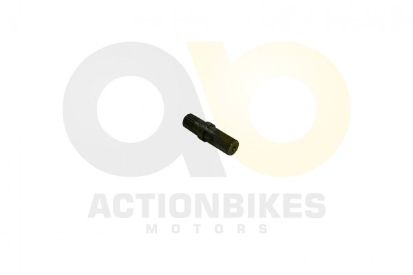 Actionbikes_Motor_260cc_XY170MM_Differenzialausgan