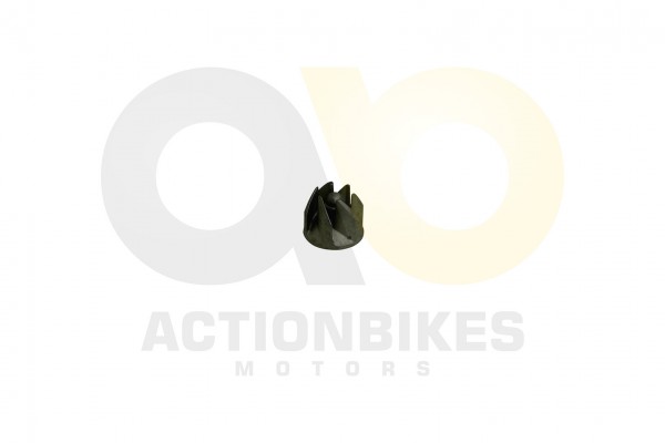 Actionbikes_Shineray_XY250ST_9C_Wasserpumpe_Schauf