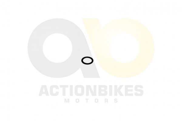 Actionbikes_Shineray_XY250SRM_Ventilsitz_groe_Fede