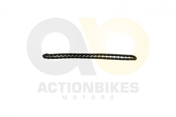 Actionbikes_Motor_250cc_CF172MM_Steuerkette_313434