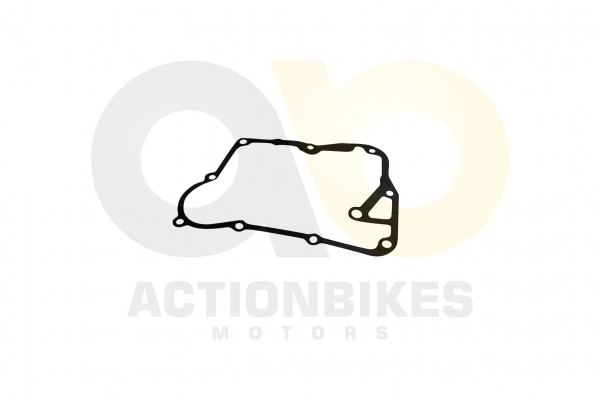 Actionbikes_Dongfang_DF150GK_Dichtung_Lichtmaschin