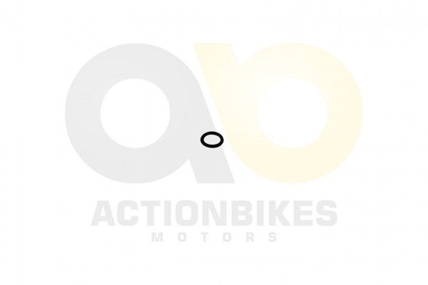 Actionbikes_Shineray_XY250SRM_Dichtring_132x265_OT