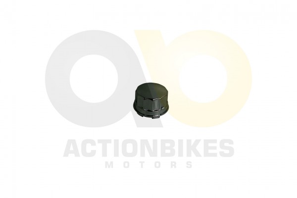 Actionbikes_Renli_RL500DZ_Radkappe_34323730362D424