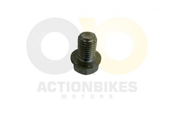Actionbikes_Jinling_50cc_JL_07A_lablaschraube_3131