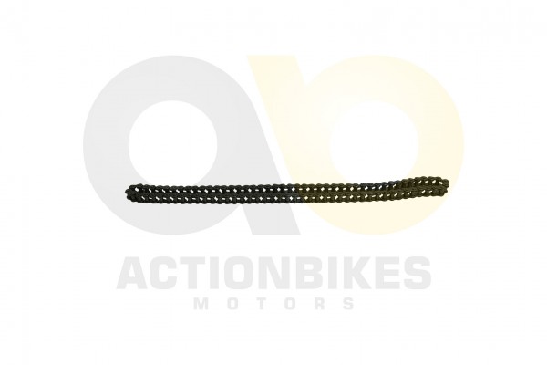 Actionbikes_Shineray_XY350ST_EST_2E_Steuerkette_31
