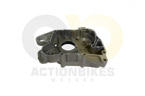 Actionbikes_Shineray_XY200ST_9_Motorhlfte_rechts_k