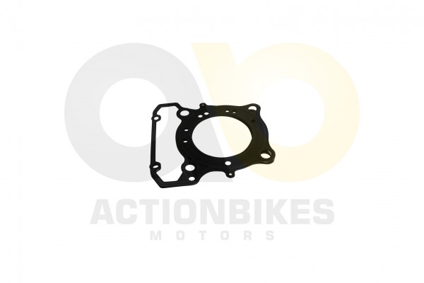 Actionbikes_Egl_Mad_Max_300_Dichtung_Zylinderkopf_