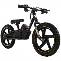 Elektro-Laufrad 16 Zoll, Kinder-Balance-Bike, 250 Watt, Scheibenbremsen, 3 Stufen
