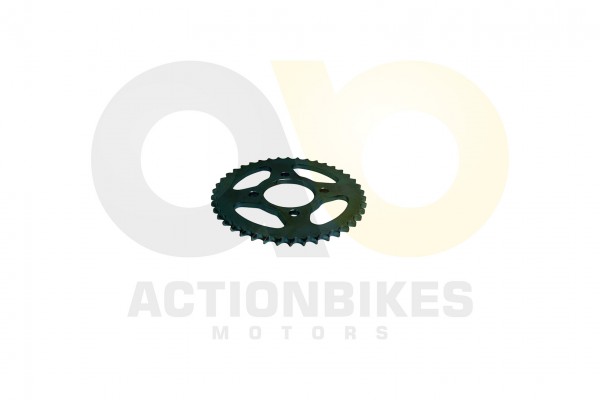 Actionbikes_Shineray_XY250SRM_Kettenrad_428x42_323