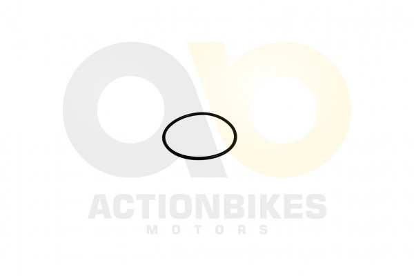 Actionbikes_Shineray_XY250SRM_Dichtring_625x25_Dec
