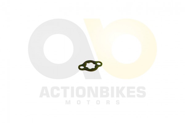 Actionbikes Speedslide-JLA-21B-Ritzelsicherungsblech-RZB-01-Hunter-250 313931363130303031 01 WZ 1620