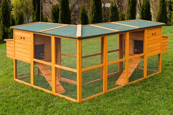 MyAnimal Hühnerstall für 6-8 Hühner Hühnerstall für 6-8 Hühner kaufen