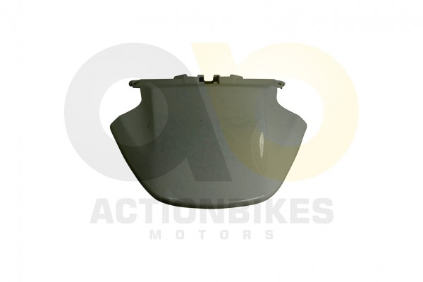 Actionbikes_Jinling_Startrike_300_JLA_925E_Hecktrg5703891b9c320