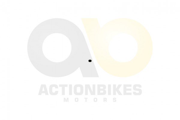 Actionbikes_Dinli_450_DL904_Ventileinstellpltchen_