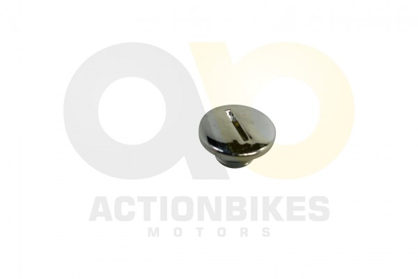 Actionbikes_Mini_Quad_110_cc_Lichtmaschinengehused