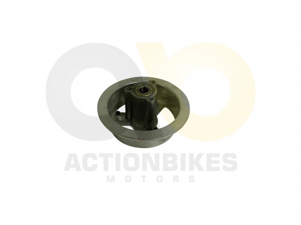 Actionbikes_Huabao_E_Scooter_800W_Felge_hinten_D27