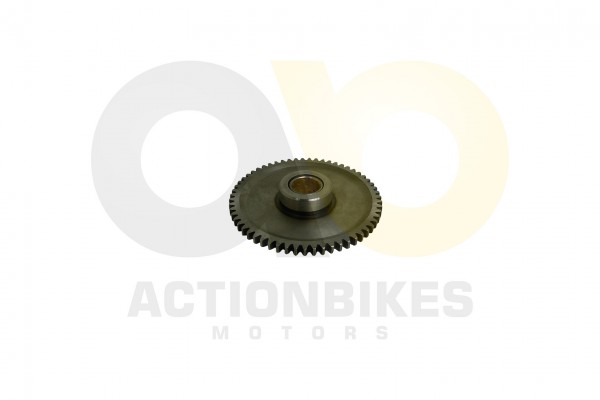 Actionbikes Shineray-XY250ST-9C-Anlasserzahnrad-gro 4A4C3137322D303030393035 01 WZ 1620x1080