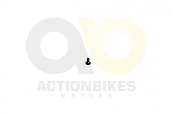 Actionbikes Shineray-XY250SRM-Bremsscheibe-vorne---Befestigungsschraube-STXE 35363731312D3531362D303