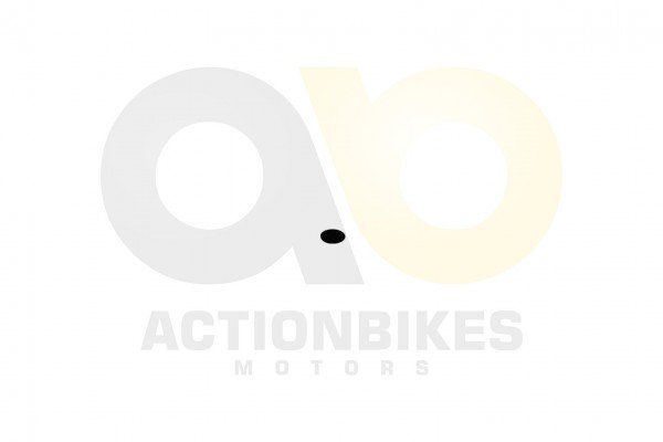 Actionbikes_Xingyue_ATV_400cc_Ventilscheibe_313238