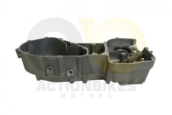Actionbikes_Shineray_XY150STE_Motorhlfte_links_475