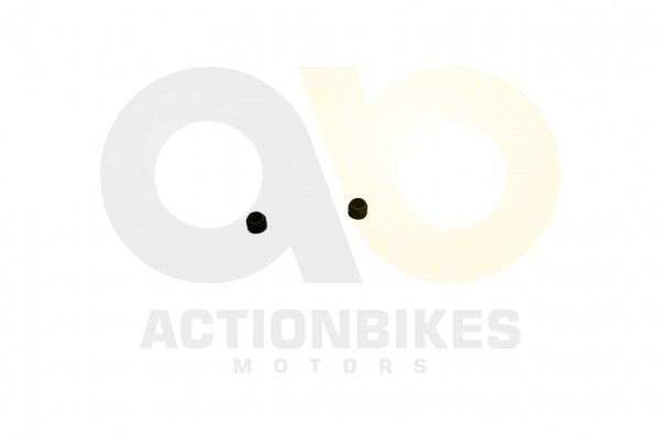 Actionbikes Speedstar-JLA-931E-Ventilschaftdichtung-Set-2-Stck 4A4C412D393331452D3330302D452D313138