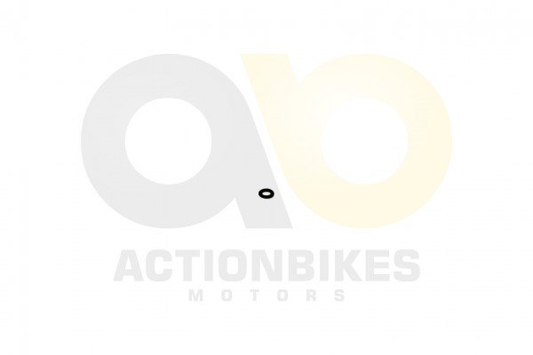 Actionbikes_XYPower_XY500ATV_Dichtung_lablassschra