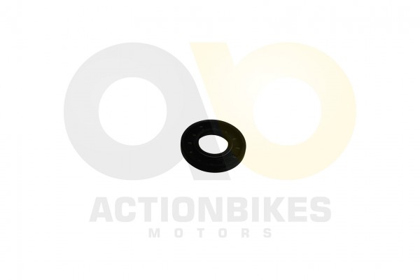 Actionbikes_Simmerring_17355_CF188_Variomatikgehus