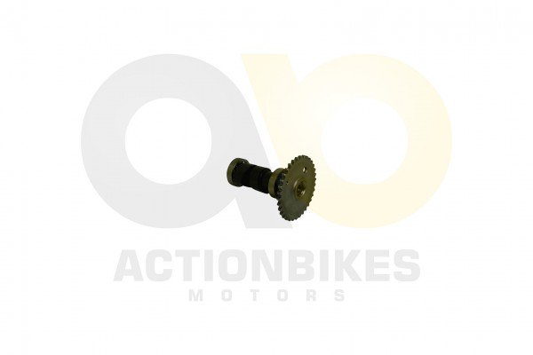 Actionbikes_Motor_250cc_CF172MM_Nockenwelle_313431