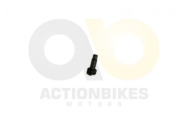 Actionbikes_Shineray_XY250SRM_Welle_fr_Nockenwelle