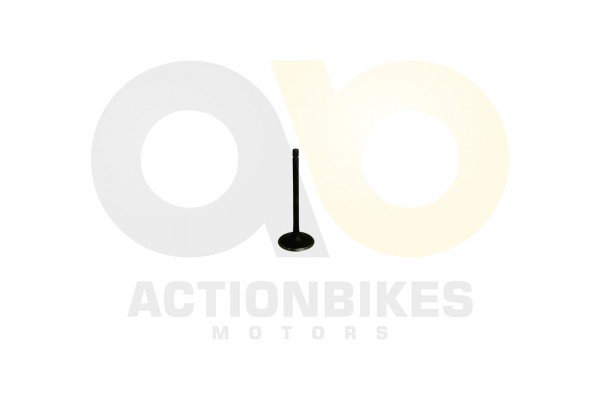 Actionbikes_Shineray_XY250SRMXY250ST_3E_Einlassven