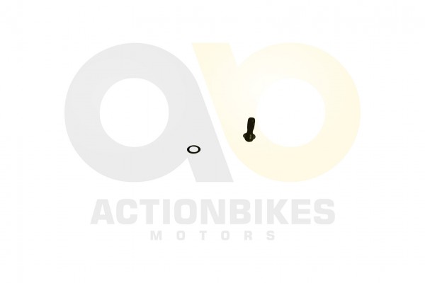 Actionbikes_Shineray_XY200ST_6A_lkhler_Hohlschraub