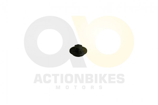Actionbikes_Shineray_XY250ST_9C_lsiebdeckel_4A4C31