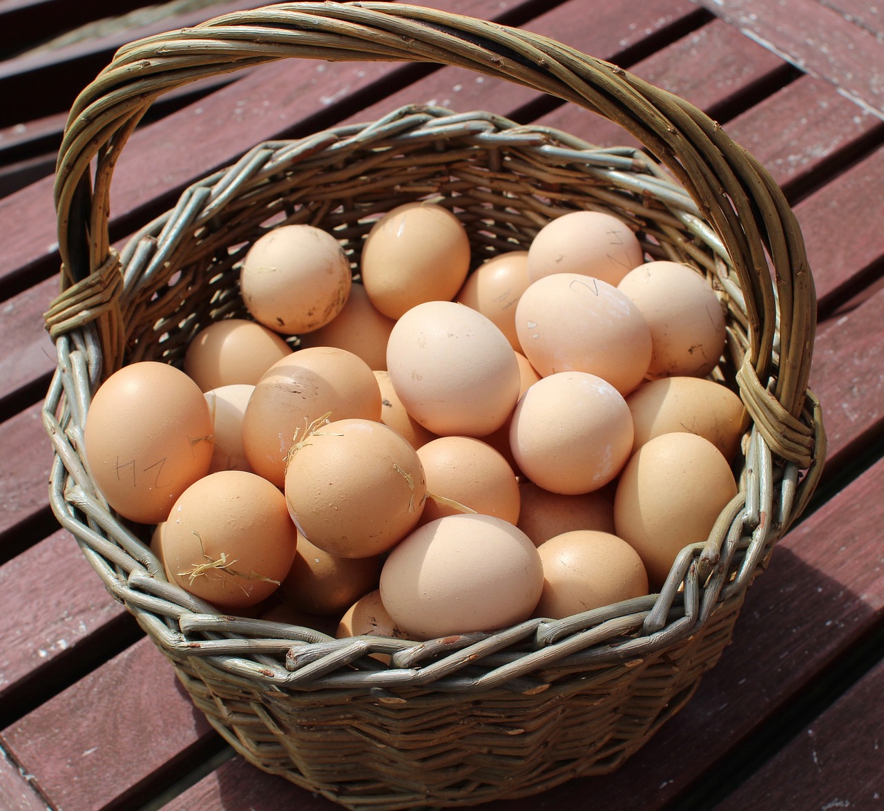 Frische Eier - Wie viele Eier legt ein Huhn überhaupt? Huhn legt wie viele Eier?