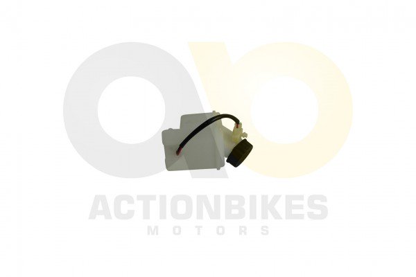 Actionbikes_Monster_Buggy_FBF_1300_Racer_Bremsflss