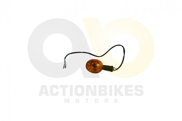 Actionbikes_Kinroad_XY250GK_Blinker_hinten_links_4